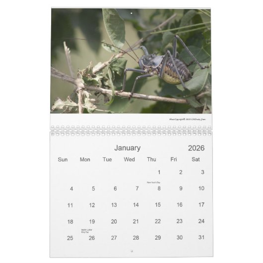 Mapungubwe NP RSA Wildlife 2011/12 Kalender (Jan 2026)