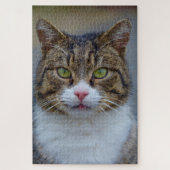 maquereau tabby puzzle (Vertical)