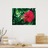 Mar Pacifico Flower 28 x 20 inch Poster (Keuken)