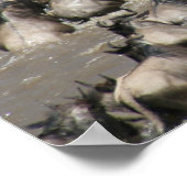 mara wildebeest poster (Hoek)