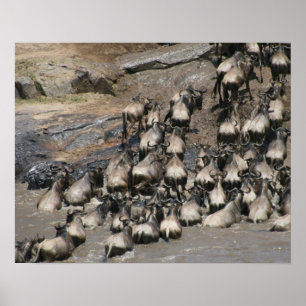 mara wildebeest poster