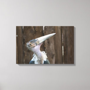 Maraboe-ooievaar Canvas Afdruk