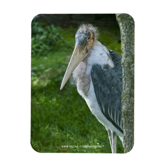 Marabou Magneet (Verticaal)