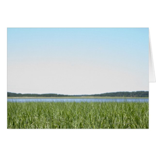 Marais du Cap Cod (Devant horizontal)