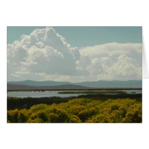 Marais Ruby, Brosse Rabbit