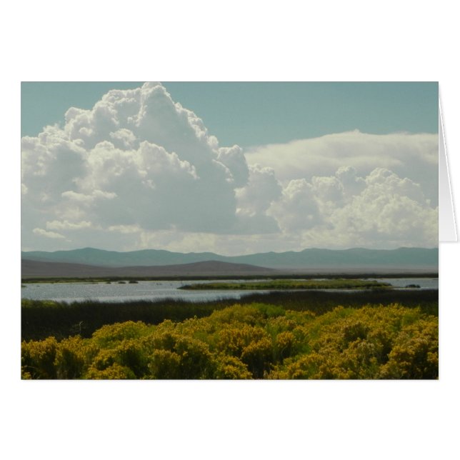 Marais Ruby, Brosse Rabbit (Devant Horizontal)