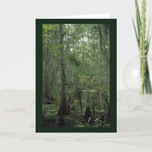 Marais Serenity Personnalisé Louisiane Cartes de v