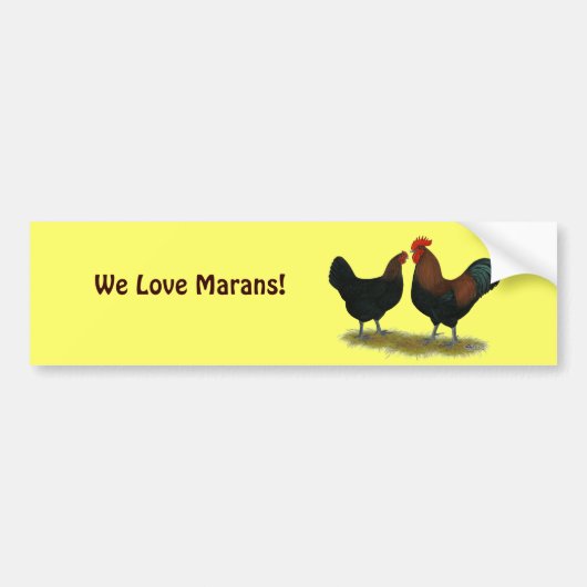 Marans Black Copper Bumpersticker (Voorkant)