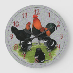 Marans Black Copper Chicken Family Grote Klok