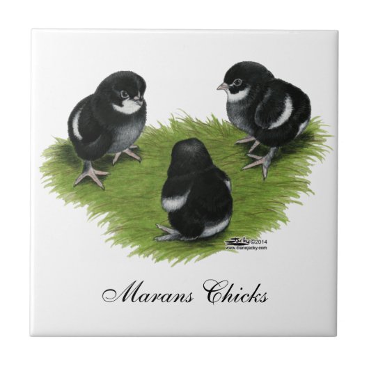 Marans Black Copper Chicken Tegeltje (Voorkant)