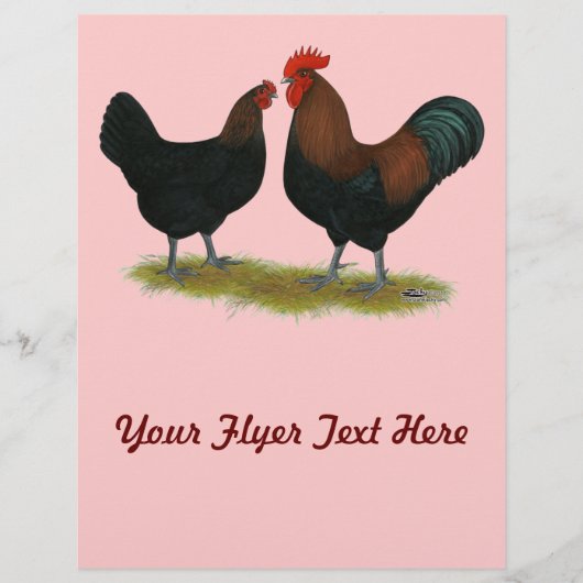 Marans Black Copper Flyer (Voorkant)