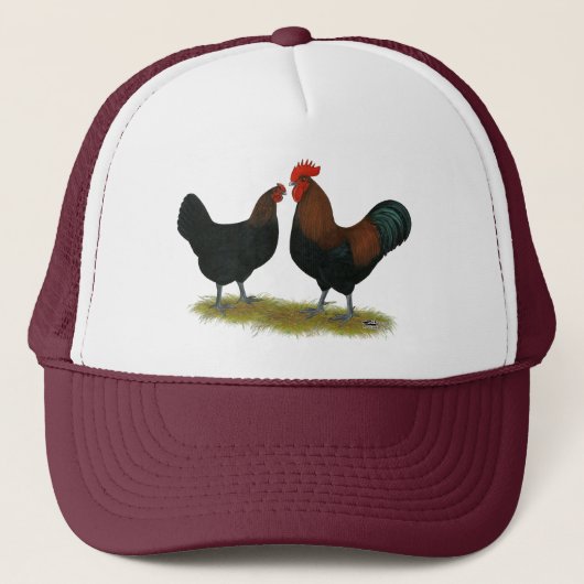 Marans Black Copper Trucker Pet (Voorkant)