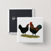 Marans Black Copper Vierkante Button 5,1 Cm (Voorkant /achterkant)