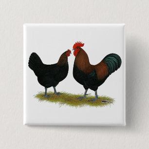 Marans Black Copper Vierkante Button 5,1 Cm