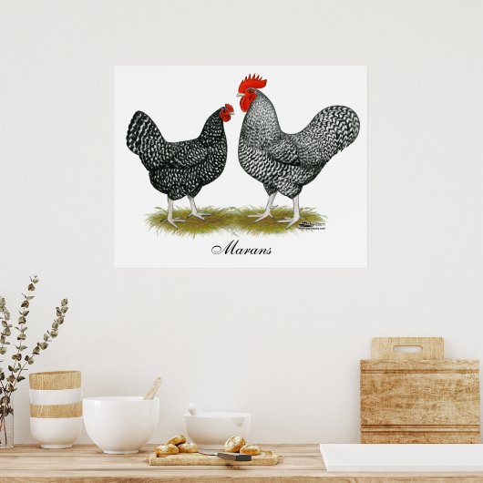 Marans: Cuckoo Pair Poster (Keuken)