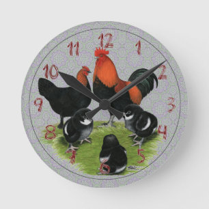 Marans Zwart Koper Kippen Familie Ronde Klok