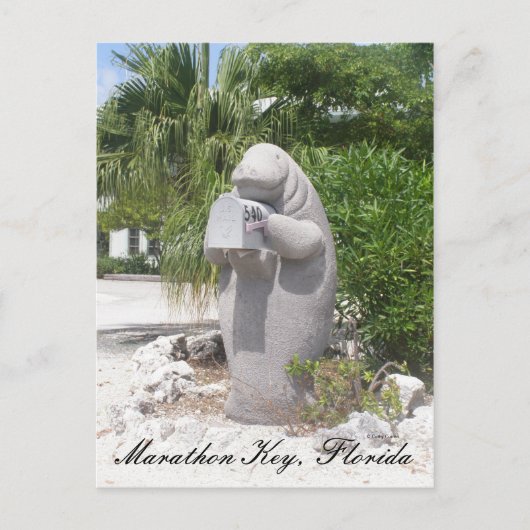 Marathon Key, Florida Briefkaart (Voorkant)