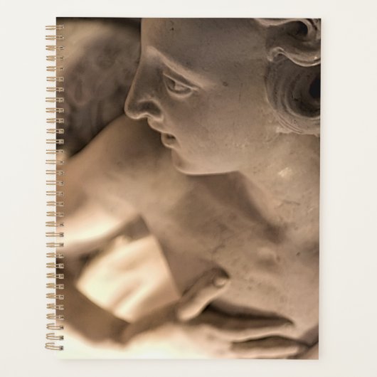 Marble Angel Sculpture Art Imprimer (Devant)