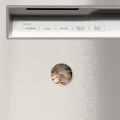 Marble Angel Sculpture Art Print Magneet (Insitu (Vaatwasser))