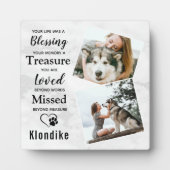 Marble Herembrance Pet Loss Keepomwille Pet Memori Fotoplaat (Voorkant)