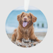 Marble Herembrance Quote Dog Foto Pet Memorial Ornament (voorkant)