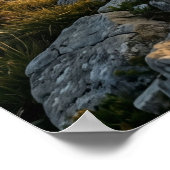 Marble Ram Mountain Pride Poster (Hoek)