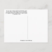 Marble Sculpture in Bridge of Lions St. Augustine Briefkaart (Achterkant)