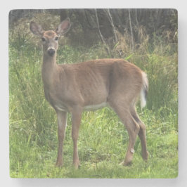 Marble Stone Deer Onderzetter