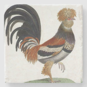 Marble Stone French Bird Stenen Onderzetter