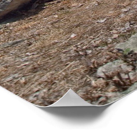 Marblehead Lighthouse Poster (Hoek)