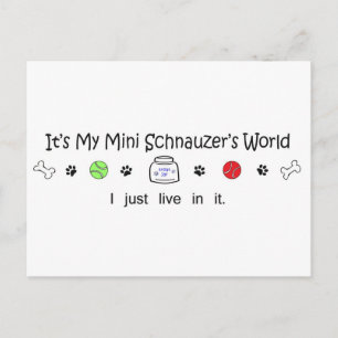 march15b15MiniSchnauzer.jpg Briefkaart