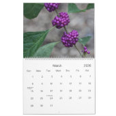 marchant par l'arborétum, calendrier de nature (Mar 2026)