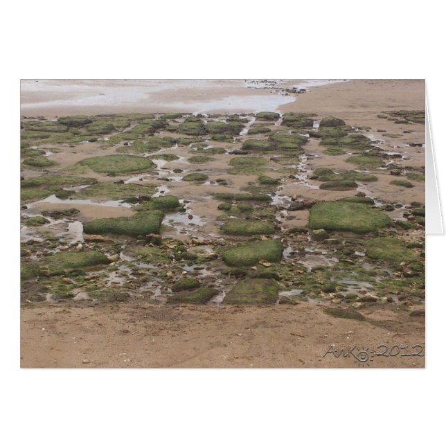 Marche basse 2 (Devant horizontal)