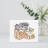 Marche des bois | Carte postale écureuil (Debout devant)