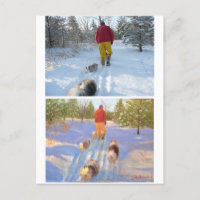 Marcher dans la carte postale de la forêt