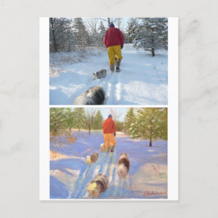 Marcher dans la carte postale de la forêt