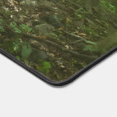 Marcher dans les bois - Brook avec pont (Coin)