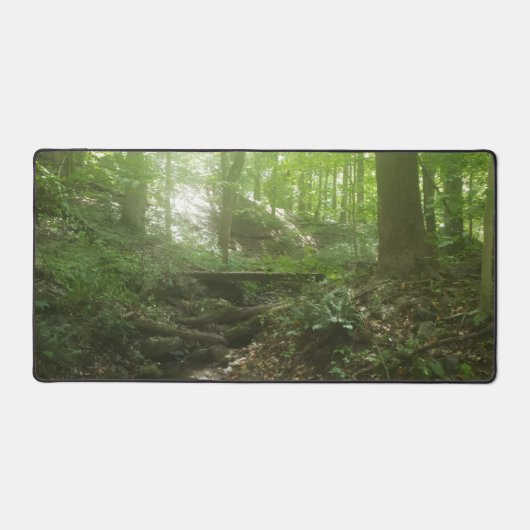 Marcher dans les bois - Brook avec pont (Recto)