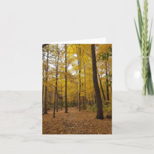 marcher dans les bois carte de voeux