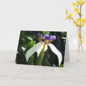 "Marcher Iris 2." Carte de vœux (Fleur jaune)