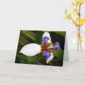 "Marcher Iris." Carte de vœux (Fleur jaune)