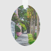 Marcher le long de Rainbow Row (devant)