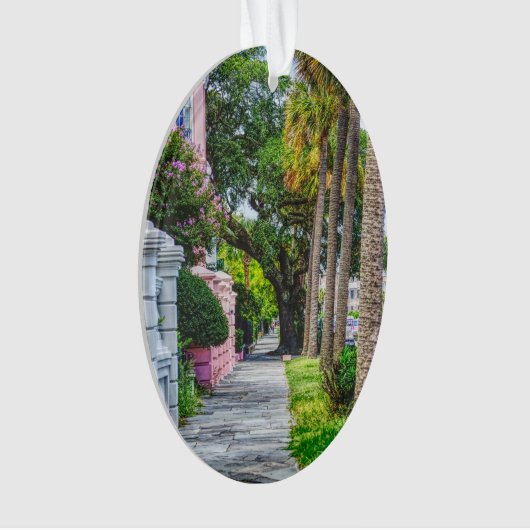 Marcher le long de Rainbow Row (devant)