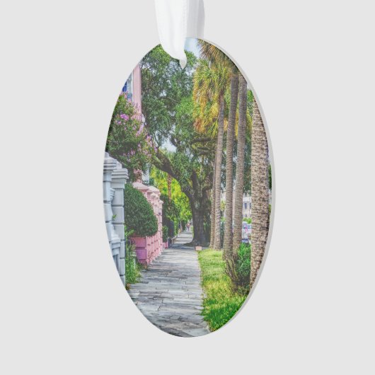 Marcher le long de Rainbow Row (devant)