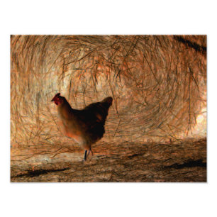"Marcher" - Numériquement photo améliorée poulet e