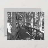 Marcher pour se souvenir carte postale (Devant / Derrière)