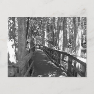 Marcher pour se souvenir carte postale