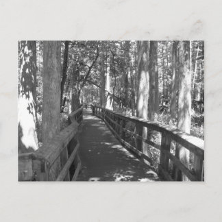 Marcher pour se souvenir carte postale