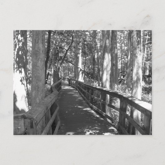 Marcher pour se souvenir carte postale (Devant)