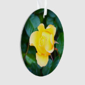 Marcher sur Sunshine Rose #1 Ornament (devant)